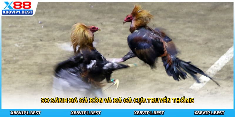 So sánh đá gà đòn và đá gà cựa truyền thống